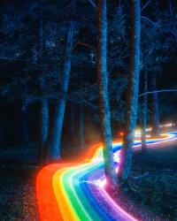 Profile: colourfulUnicorns83