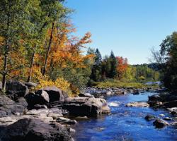 Profile: riverscene13