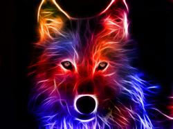 User Profile: LateNightWolf