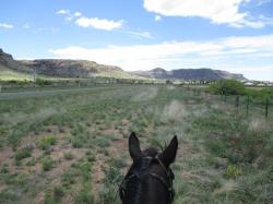 User Profile: Nocona