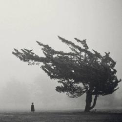 User Profile: EmptyShadow