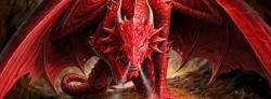 Profile: YggdrasilsMender