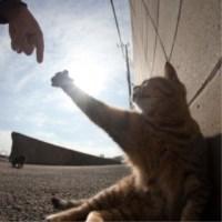 User Profile: parsecDrifter