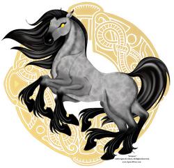 User Profile: OdinsHorsey