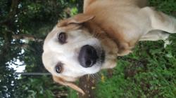 User Profile: ThePotatoCat