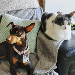 User Profile: Evegreeny1999