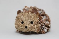 User Profile: IttyBittyPinecone