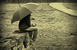 User Profile: Take501