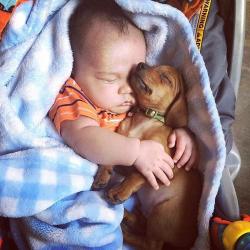 User Profile: iheartpuppies925