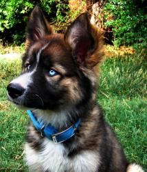 User Profile: floofloops