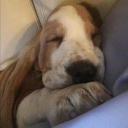 Profile: chiotchae