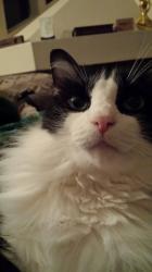 User Profile: magicalStrawberry88