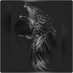 User Profile: Shyheart226