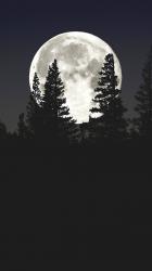 User Profile: courageousCandy27