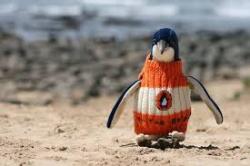 User Profile: KnittedPenguin25