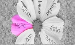 User Profile: InspireHumanity24