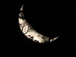 User Profile: moonlightbaby81