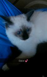 User Profile: dreamofbetterdays