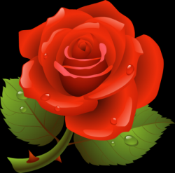 User Profile: dreamingSunshine