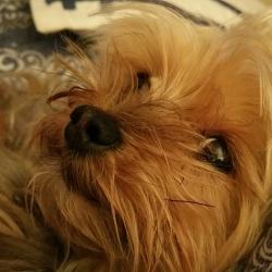 Profile: calminglight57