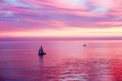 Profile: palepinksunsets