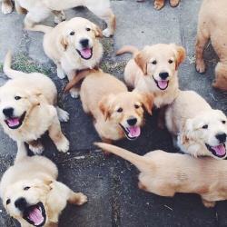 Profile: smilestayyou