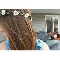 Profile: PaleRose12