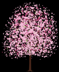 User Profile: beautyflower01