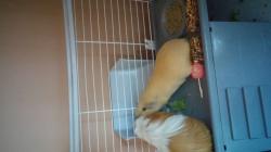 User Profile: esperanzaGrady127