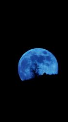 User Profile: hopefulNight75