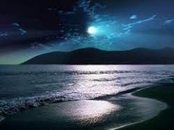 Profile: TranquilMoonlight