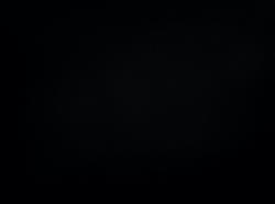 User Profile: Hassan101
