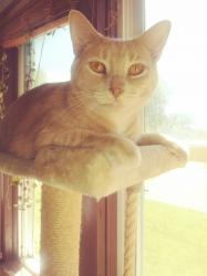 Profile: heartofgold2001