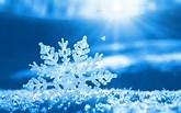 User Profile: Snowflake143