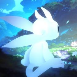 User Profile: TheSpiritGuardianOri