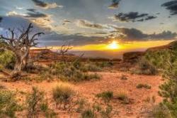 User Profile: desertSunrise88
