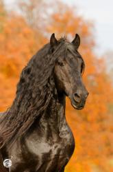 User Profile: compassionateHeart32