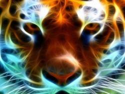Profile: MysticalKingdom