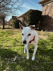 Profile: Santana