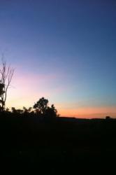 Profile: Ria