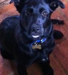 User Profile: marmalade