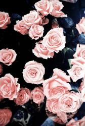 User Profile: erin333