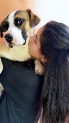 Profile: TheReaderPig