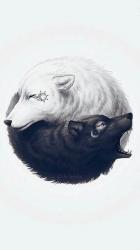 Profile: PoolOfBrokenMemories