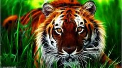 Profile: amazingHorizon37
