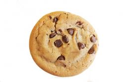 Profile: SarcasmCookie