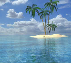 User Profile: calmOceanJoy