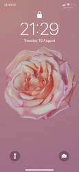 User Profile: LozzaLou