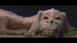 Profile: kimonoDragon