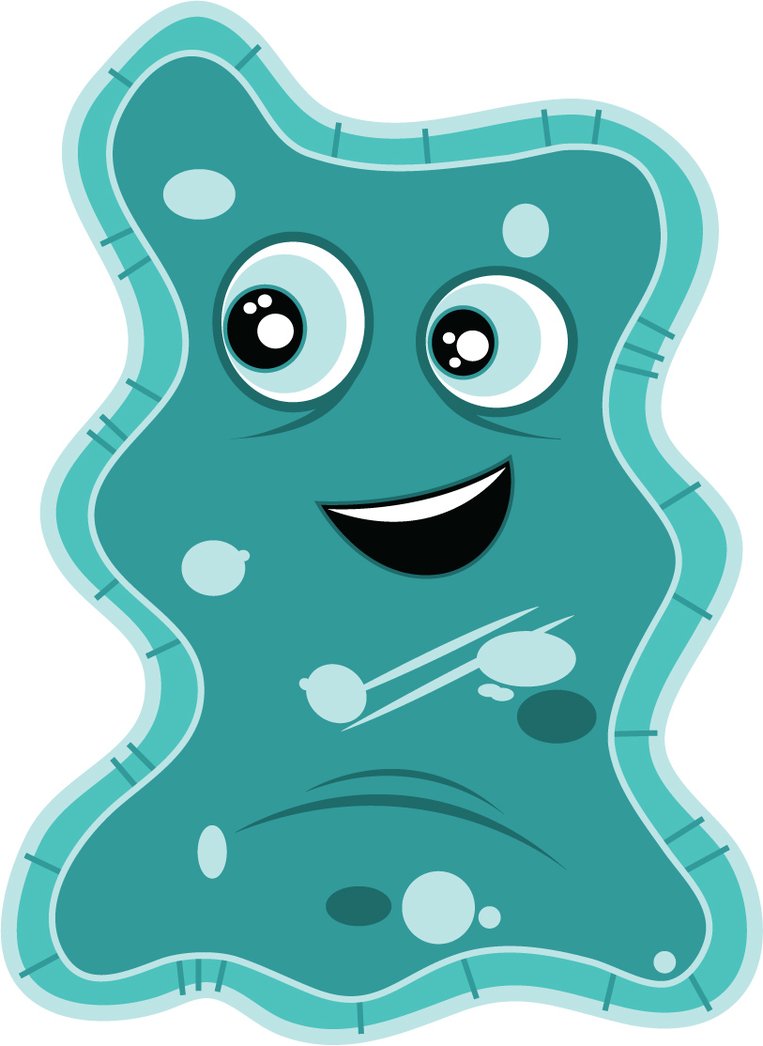User Profile: BabyAmoeba